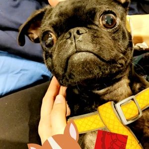 Meet your Posher, Justin